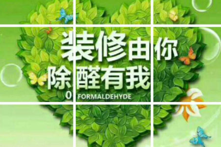 广州除甲醛公司