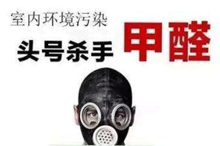 广州除甲醛公司