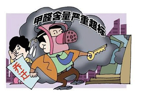 广州除甲醛公司