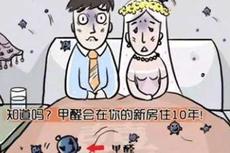 广州甲醛治理公司