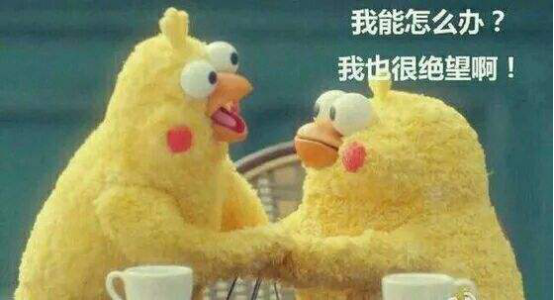 广州除甲醛公司